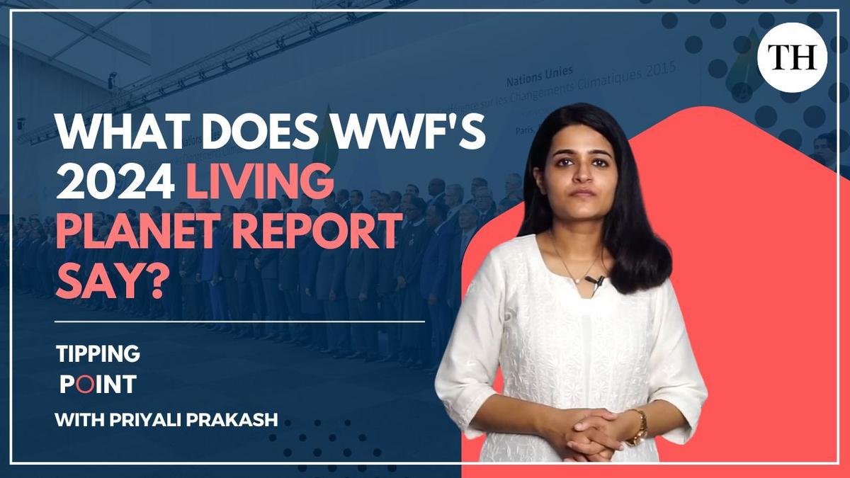 Watch What does WWF’s 2024 Living Report say? The Hindu